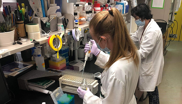 Two researchers working in a lab setting using micropipettes