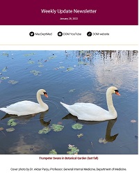 Weekly Update Newsletter cover page of two swans in a pond