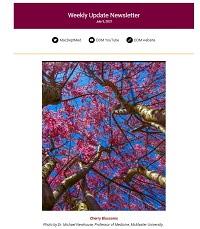 Weekly Update Newsletter cover page of pink blossoms on trees