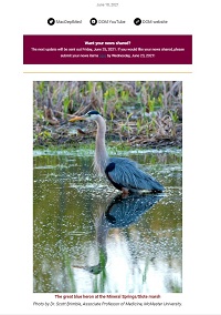 Weekly Update Newsletter cover page of a bird in water