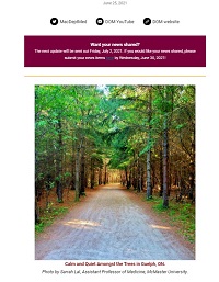 Weekly Update Newsletter cover page of a pathway surrounded by trees