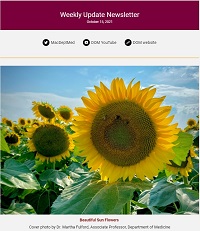 Weekly Update Newsletter cover page of sunflowers