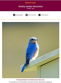 Weekly Update Newsletter cover page of a blue bird