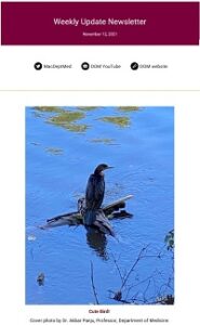 Weekly Update Newsletter cover page of a bird floating on debris above the water