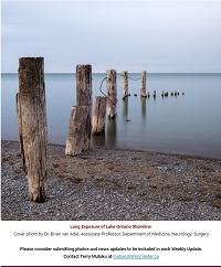 Weekly Update Newsletter cover page of a beach with logs in the water