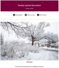 Weekly Update Newsletter cover page of a trees covered in snow and ice