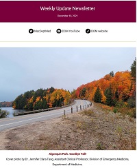 Weekly Update Newsletter cover page of a road next to colourful trees