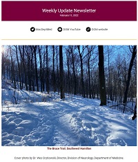 Weekly Update Newsletter cover page of a forest in winter