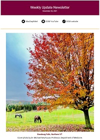Weekly Update Newsletter cover page of a colourful tree with animals in the background