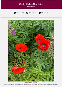 Weekly Update Newsletter cover page of red flowers