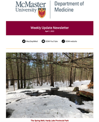 Weekly Update Newsletter cover page of a snowy forest