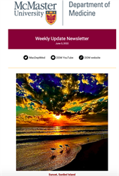 Weekly Update Newsletter cover page of beach at sunset