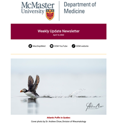 Weekly Update Newsletter cover page of a bird flying above water