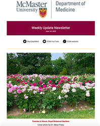 Weekly Update Newsletter cover page of pink and white flowers
