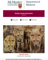 Weekly Update Newsletter cover page of several lions