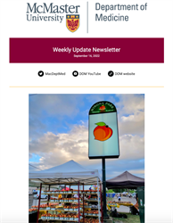Weekly Update Newsletter cover page of a outdoor market