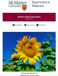 Weekly Update Newsletter cover page of a vibrant sunflower