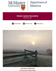 Weekly Update Newsletter cover page of a fence with the sun peaking through clouds