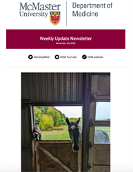 Weekly Update Newsletter cover page of an animal looking through a window